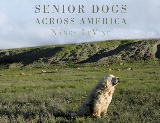Senior Dogs Across America : Portraits of Man's Best Old Friend, Hardback Book