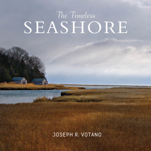 The Timeless Seashore, Hardback Book