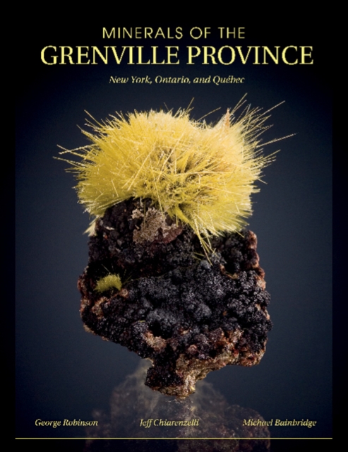 Minerals of the Grenville Province : New York, Ontario, and Quebec, Paperback / softback Book