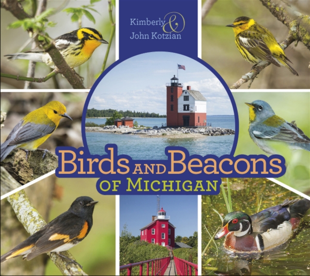 Birds and Beacons of Michigan, Paperback / softback Book