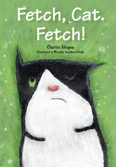 Fetch, Cat. Fetch!, Hardback Book
