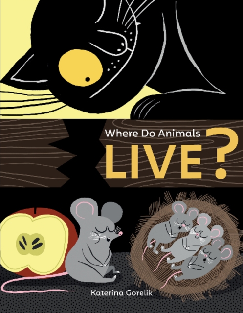 Where Do Animals Live?, Board book Book