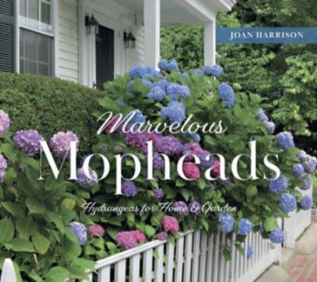 Marvelous Mopheads : Hydrangeas for Home & Garden, Hardback Book