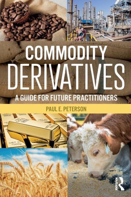 Commodity Derivatives : A Guide for Future Practitioners, Paperback / softback Book