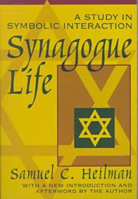 Synagogue Life : A Study in Symbolic Interaction, Paperback / softback Book