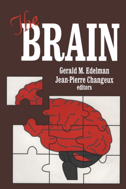 The Brain, Paperback / softback Book