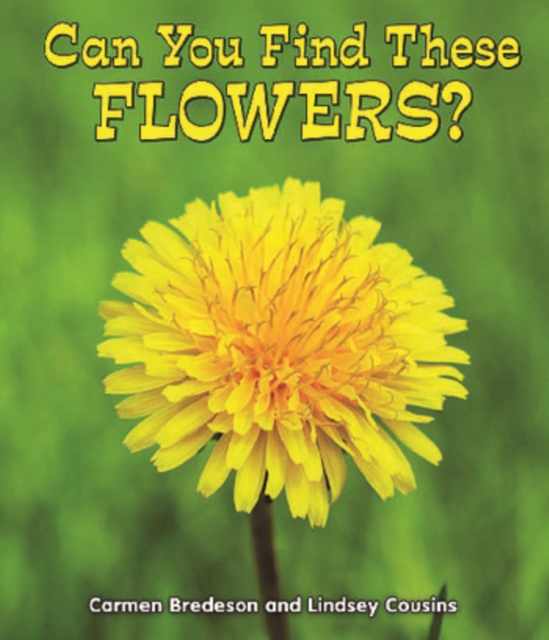 Can You Find These Flowers?, PDF eBook