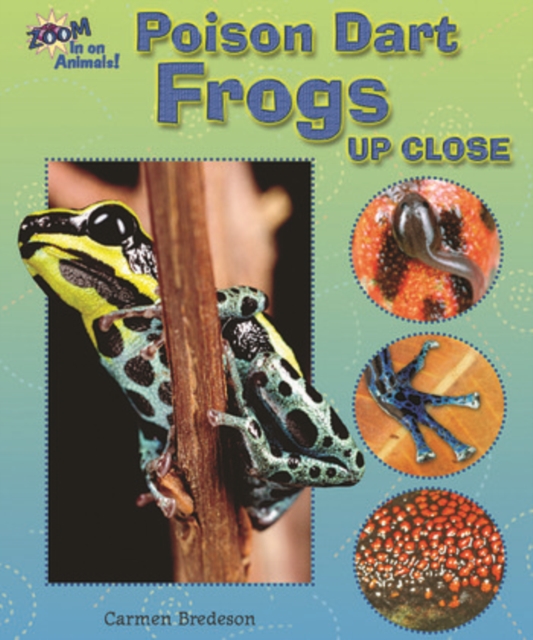 Poison Dart Frogs Up Close, PDF eBook