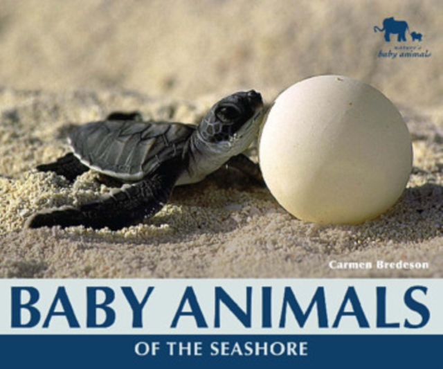 Baby Animals of the Seashore, PDF eBook