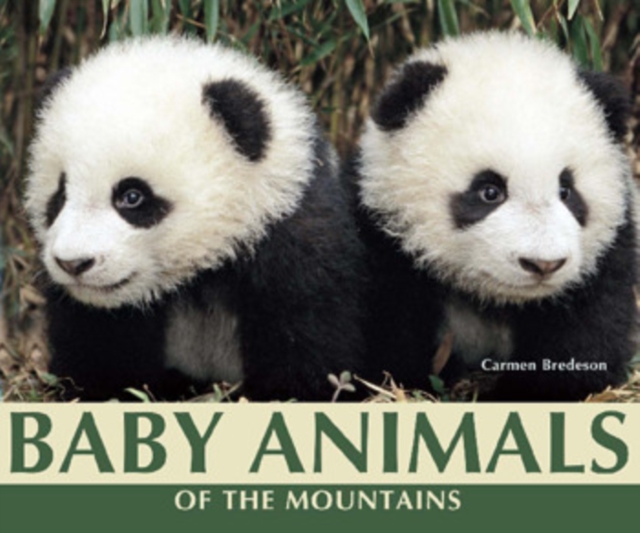 Baby Animals of the Mountains, PDF eBook