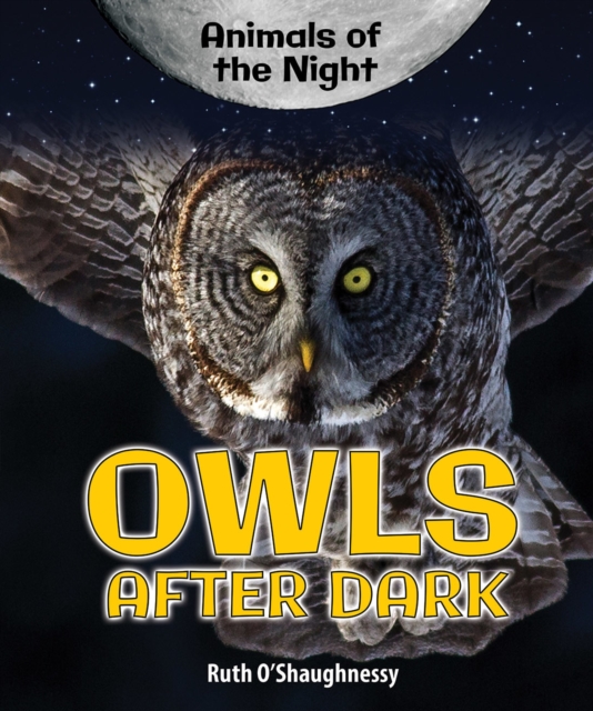 Owls After Dark, PDF eBook