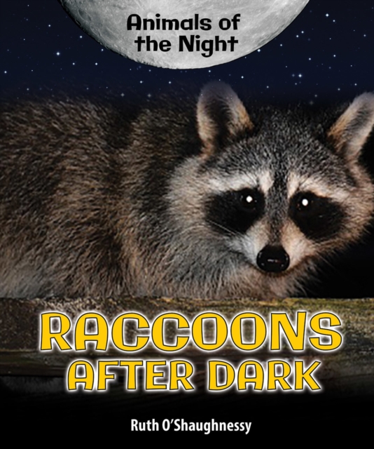 Raccoons After Dark, PDF eBook