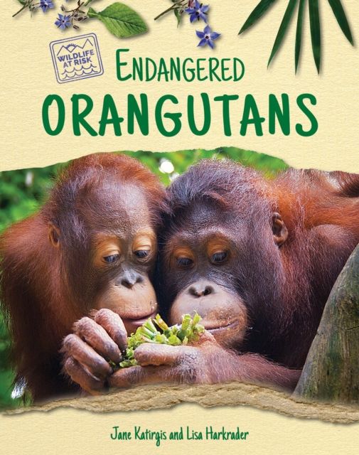 Endangered Orangutans, PDF eBook