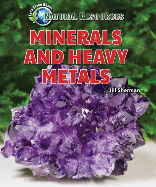 Minerals and Heavy Metals, PDF eBook