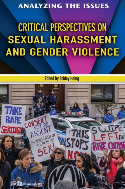 Critical Perspectives on Sexual Harassment and Gender Violence, PDF eBook