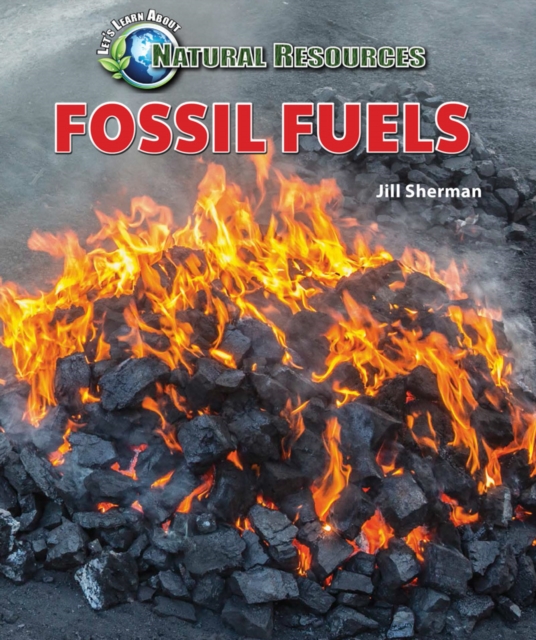 Fossil Fuels, PDF eBook