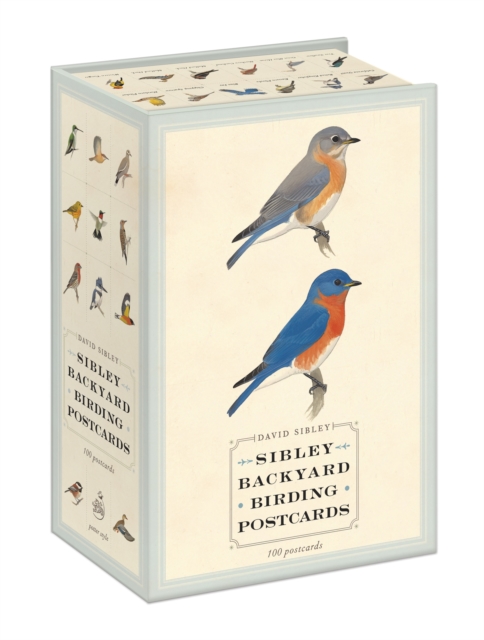 Sibley Backyard Birding Postcards : 100 Postcards, Cards Book