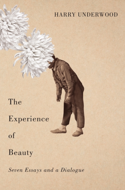 The Experience of Beauty : Seven Essays and a Dialogue, Hardback Book