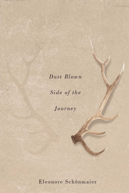 Dust Blown Side of the Journey, PDF eBook