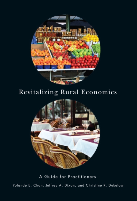 Revitalizing Rural Economies : A Guide for Practitioners, PDF eBook