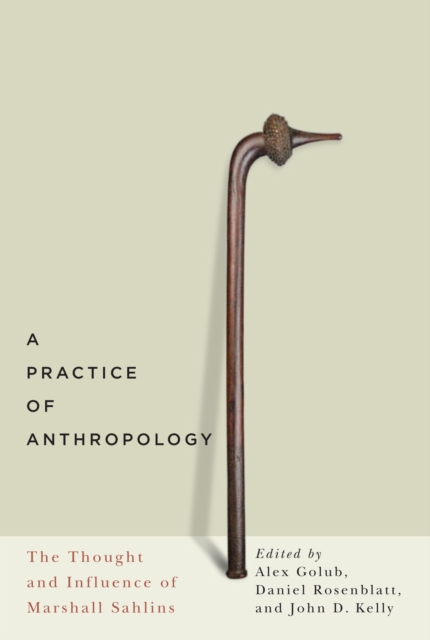 A Practice of Anthropology : The Thought and Influence of Marshall Sahlins, PDF eBook