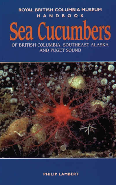 Sea Cucumbers of British Columbia, Southeast Alaska and Puget Sound, Paperback / softback Book