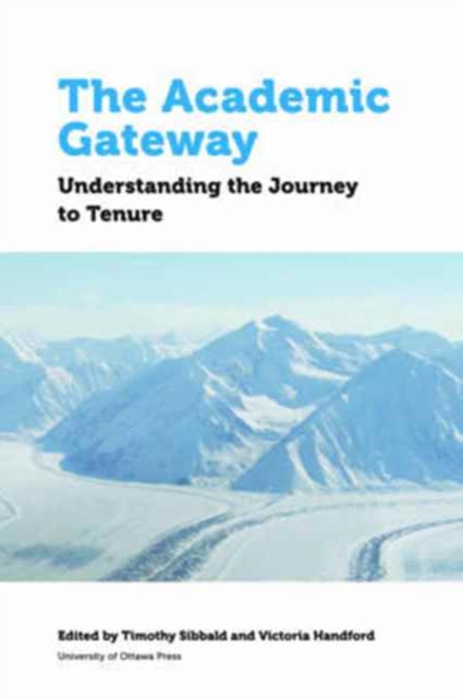 The Academic Gateway : Understanding the Journey to Tenure, Paperback / softback Book