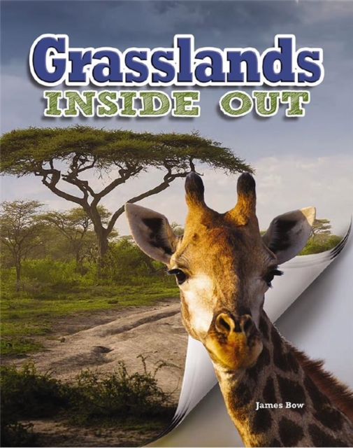 Grasslands, Paperback / softback Book