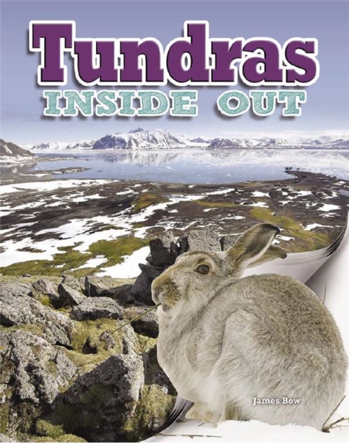 Tundras, Paperback / softback Book