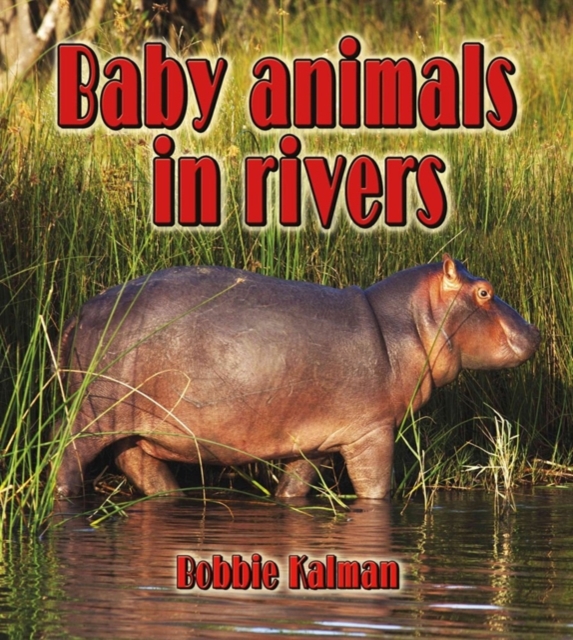 Baby Animals in Rivers, Paperback / softback Book