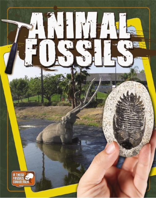 Animal Fossils, Paperback / softback Book