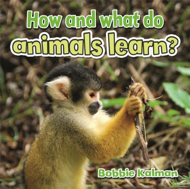 How and What Do Animals Learn, Paperback / softback Book