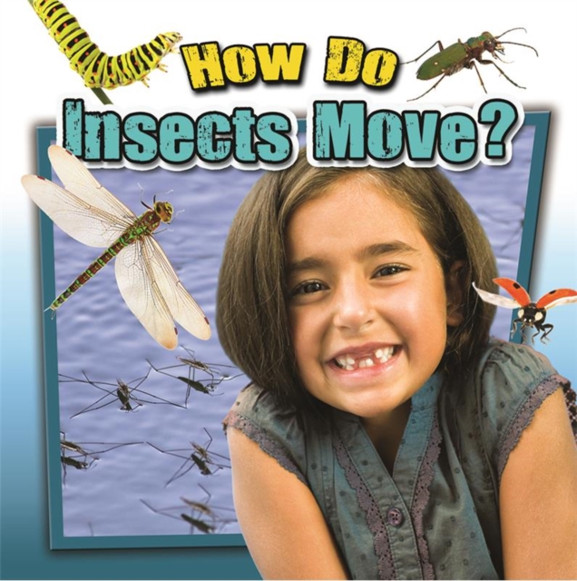 How Do Insects Move?, Paperback / softback Book