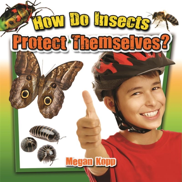 How Do Insects Protect Themselves?, Paperback / softback Book