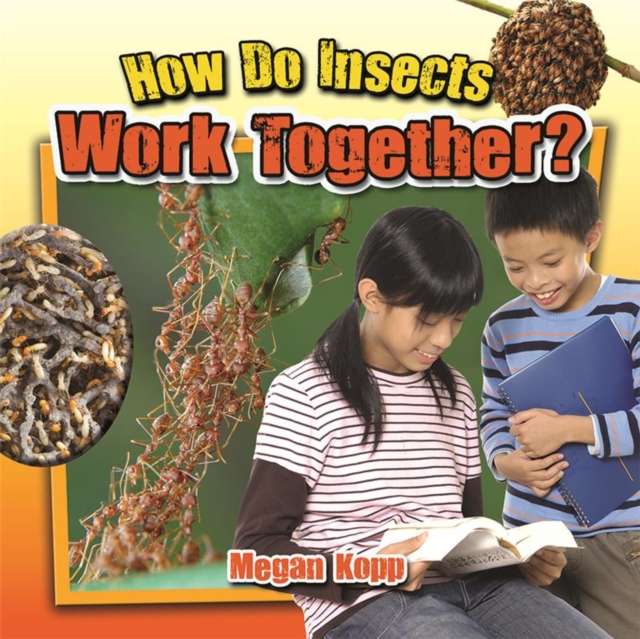 How Do Insects Work Together?, Paperback / softback Book