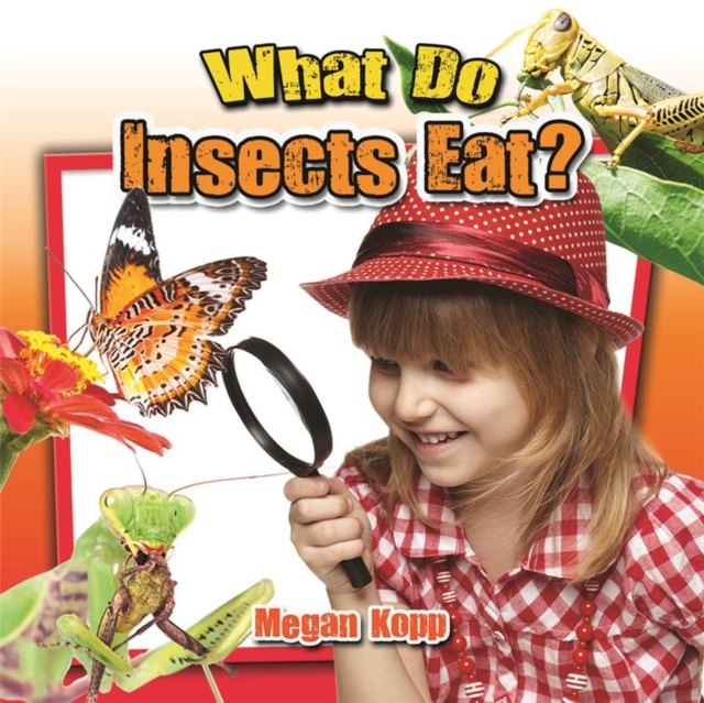What Do Insects Eat?, Paperback / softback Book