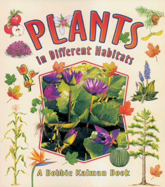 Plants in Different Habitats, Paperback / softback Book