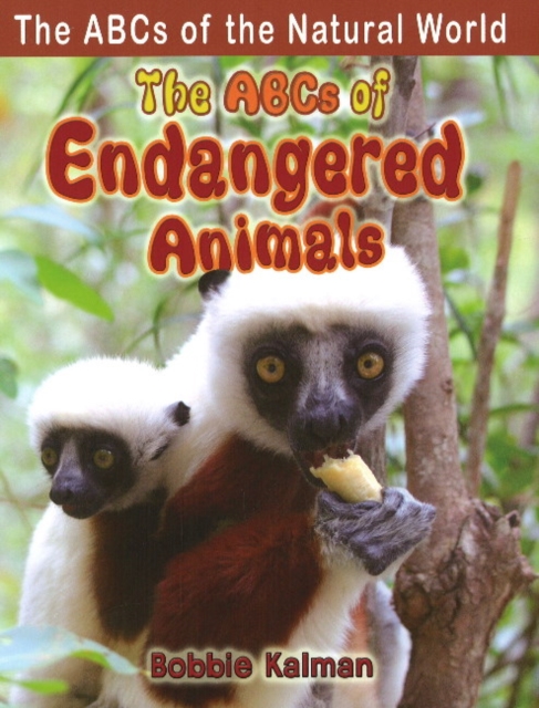 The ABCs of Endangered Animals, Paperback / softback Book