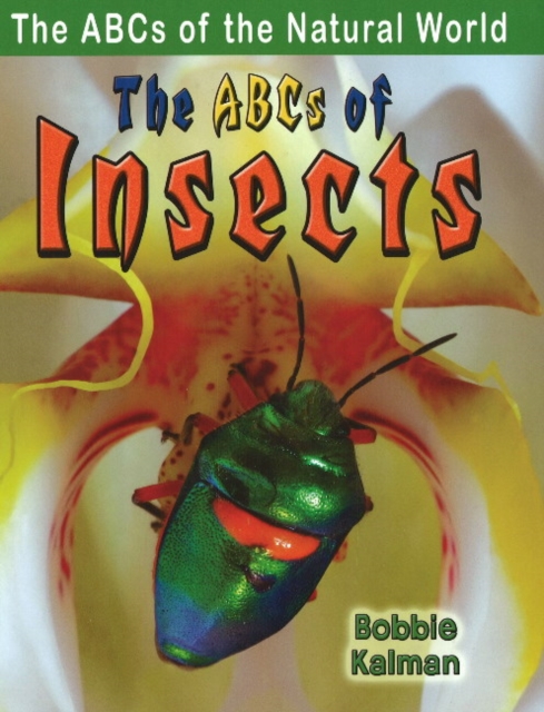 The ABCs of Insects, Paperback / softback Book