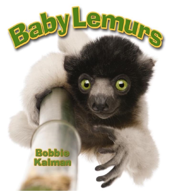 Baby Lemurs, Paperback / softback Book