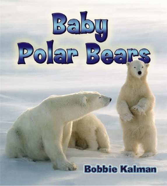 Baby Polar Bears, Paperback / softback Book