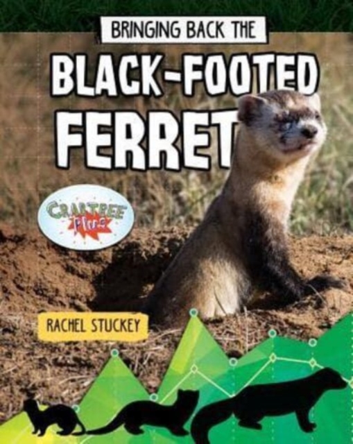 Bringing Back the Black-Footed Ferret, Paperback / softback Book