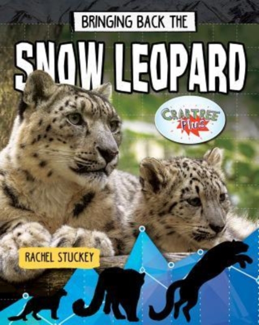 Bringing Back the Snow Leopard, Paperback / softback Book