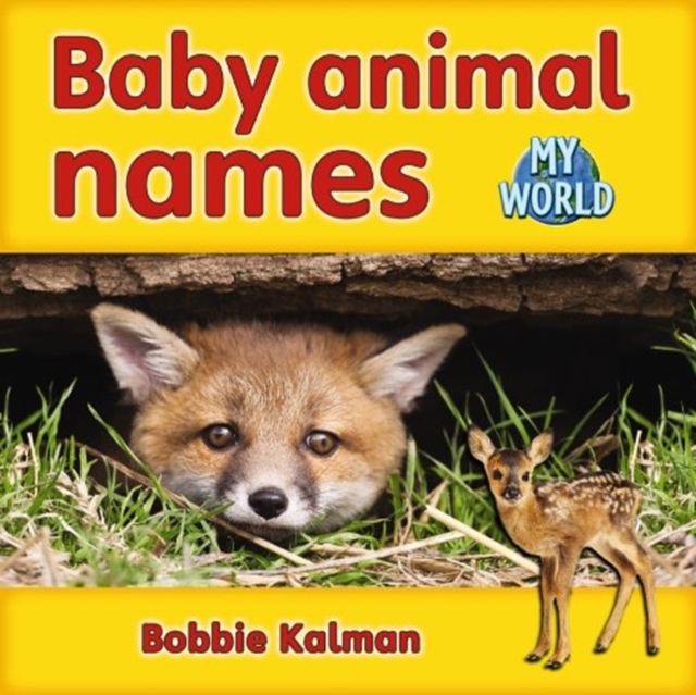 Baby animal names : Animals in My World, Paperback / softback Book