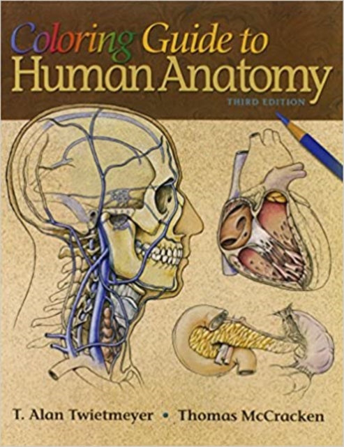 Coloring Guide to Human Anatomy, Paperback / softback Book