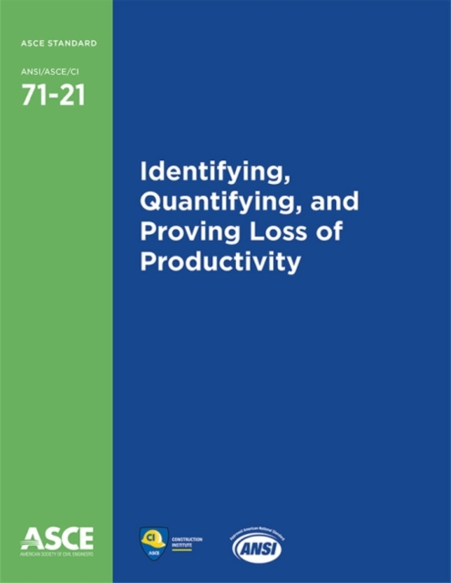Identifying, Quantifying, and Proving Loss of Productivity, Paperback / softback Book