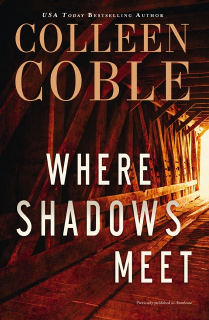 Where Shadows Meet : A Romantic Suspense Novel, EPUB eBook