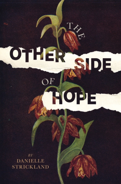 The Other Side of Hope : Flipping the Script on Cynicism and Despair and Rediscovering our Humanity, Paperback / softback Book