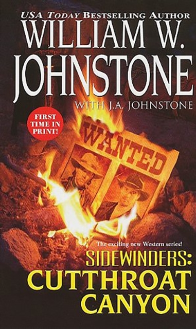 Sidewinders : #3, Paperback / softback Book