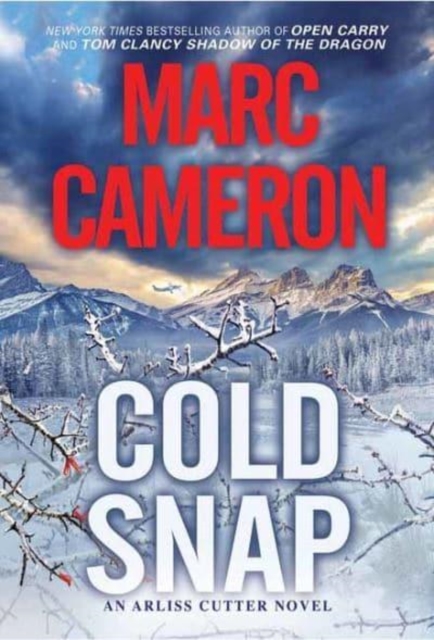 Cold Snap : An Action Packed Novel of Suspense, Paperback / softback Book